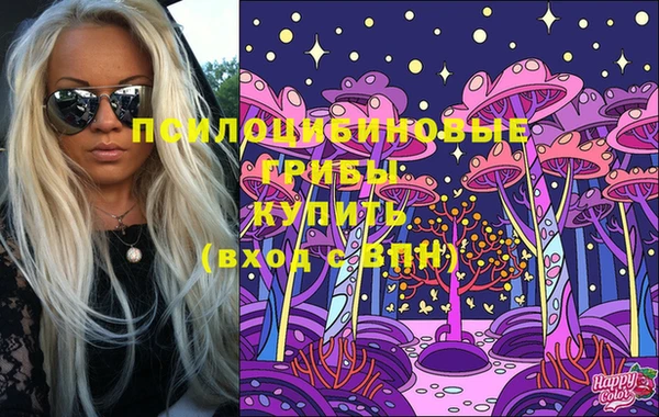 тгк Елабуга