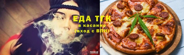 хмурый Тайга