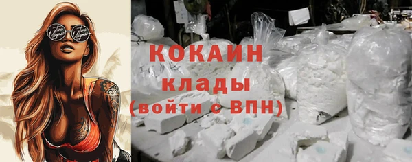 индика Каменка