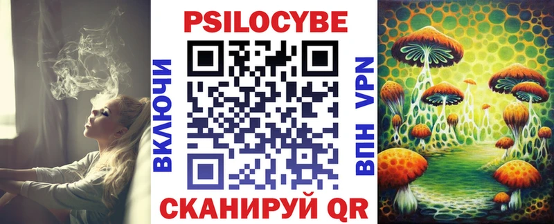 Псилоцибиновые грибы мицелий  ОМГ ОМГ ссылки  Лебедянь 